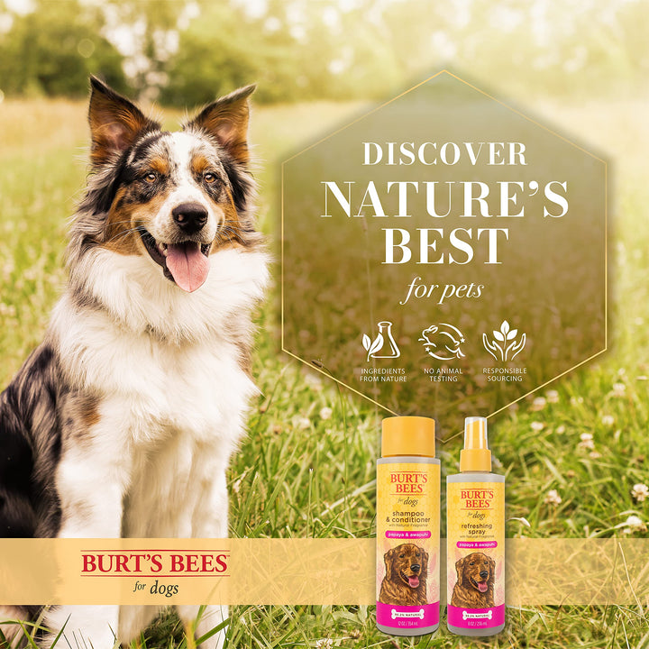 Burt's Bees for Pets Deodorizing Spray & Conditioner with Natural Papaya & Awapuhi Fragrance | Burt's Bees Dog Spray - Cruelty Free, Sulfate & Paraben Free, pH Balanced for Dogs - Made in USA, 8 Oz 8 Fl Oz (Pack of 1)
