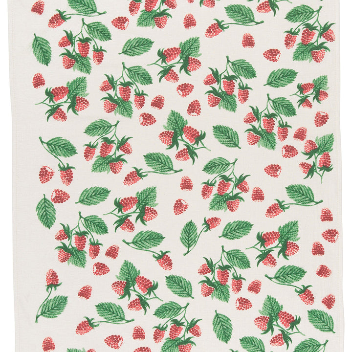 Now Designs Berry Patch Cotton Floursack Kitchen Dish Towels 20 x 30in, Set of 3, Red, Blue, Green, White