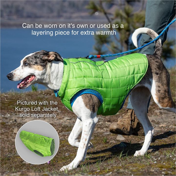 Kurgo Core Dog Sweater, Knit Dog Sweater With Fleece Lining, Cold Weather Pet Jacket, Zipper Opening for Harness, Adjustable Neck, Year-Round Sweater for Medium Dogs (Heather Black, Medium) Heather Black