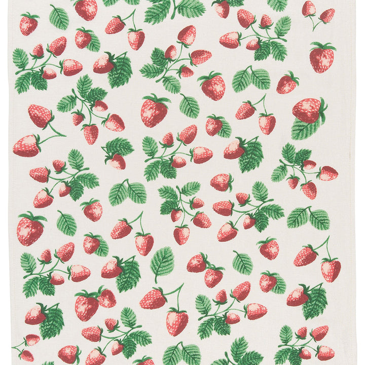 Now Designs Berry Patch Cotton Floursack Kitchen Dish Towels 20 x 30in, Set of 3, Red, Blue, Green, White