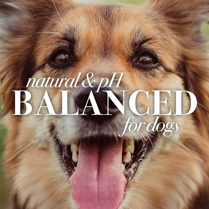 Burt's Bees for Pets Detangling Spray | Made with Lemon & Linseed to Nourish Dogs' Coats | Best Fur Detangler, Cruelty Free, Sulfate & Paraben Free, pH Balanced for Dogs - Made in USA, 10 Oz - 2 Pack