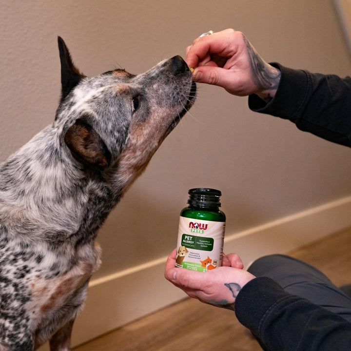 NOW Pet Health, Pet Allergy Supplement, Formulated for Cats & Dogs, NASC Certified, 75 Chewable Tablets Green/Yellow w/Speckles