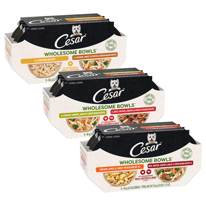 CESAR WHOLESOME BOWLS Adult Soft Wet Dog Food Variety Pack, (22) 3 oz. Bowls Chicken & Beef Variety Packs 3 Ounce (Pack of 22)