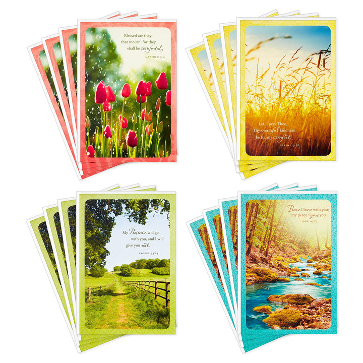 Dayspring Assorted Religious Sympathy Cards (Christian Prayers, 16 Cards and Envelopes)