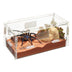 Zilla Micro Habitat Terrariums with Locking Latch Terrestrial, Small Terrestrial, Clear