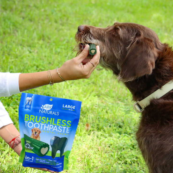 Ark Naturals Brushless Toothpaste, Dog Dental Chews for Large Breeds, Freshens Breath, Helps Reduce Plaque & Tartar, 18oz, 1 Pack Large Breed 1.13 Pound (Pack of 1)