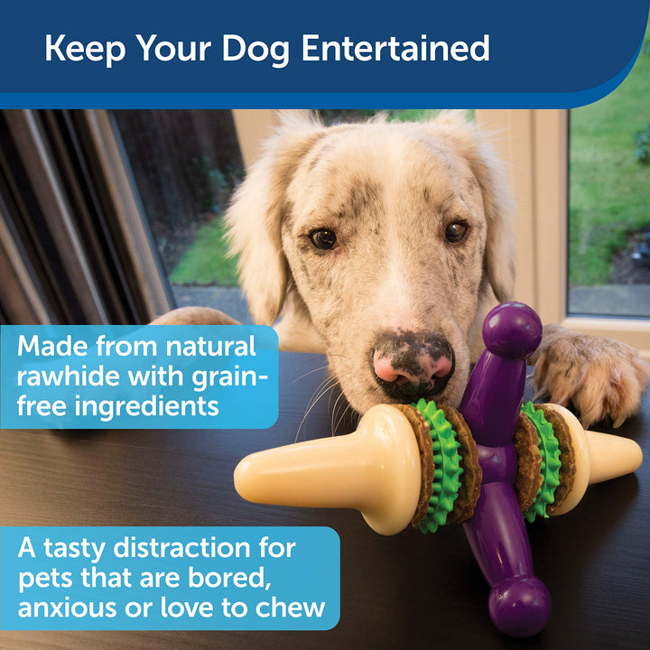 PetSafe Busy Buddy Treat Holding Jack Dog Toy – Strong Chewers - Challenging - Treat Rings Included - Large Purple