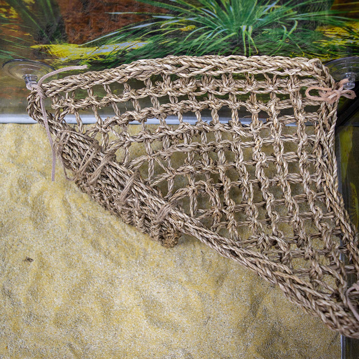 Penn-Plax Reptology Lizard Lounger Corner Triangle with Ladder– 100% Natural Seagrass Fiber – Great for Bearded Dragons, Anoles, Geckos, and Other Reptiles – Large