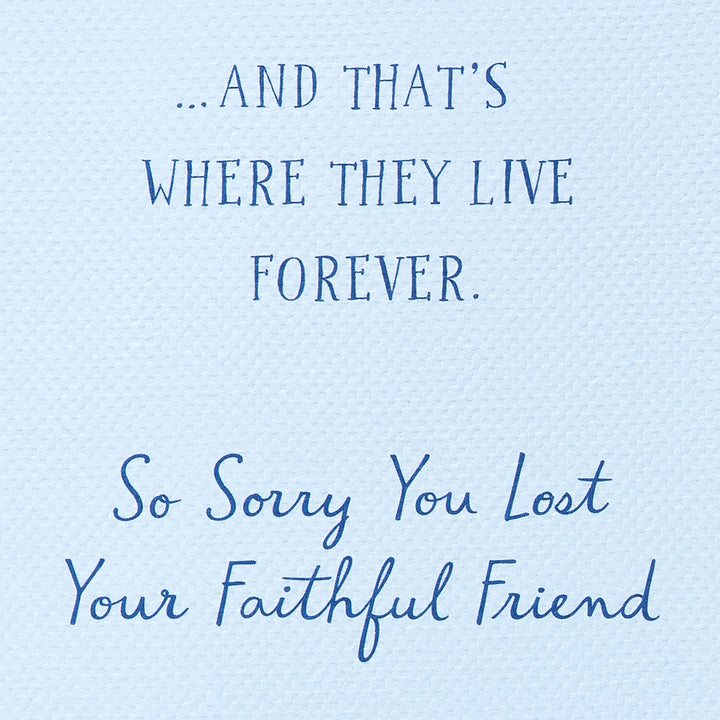 American Greetings Pet Sympathy Card (Dogs Live Forever In Your Heart)