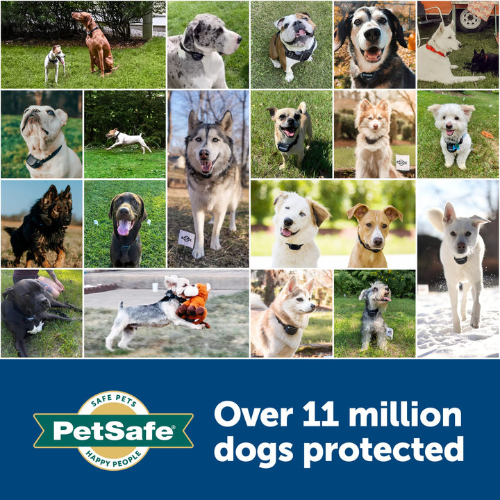 PetSafe USB Replacement Wall Adaptor Receiver Charger, Compatible Wireless and In-Ground Fences