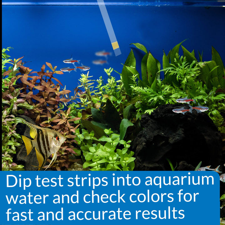 API AMMONIA TEST STRIPS Freshwater and Saltwater Aquarium Water Test Strips 25-Test Box, Model:33D