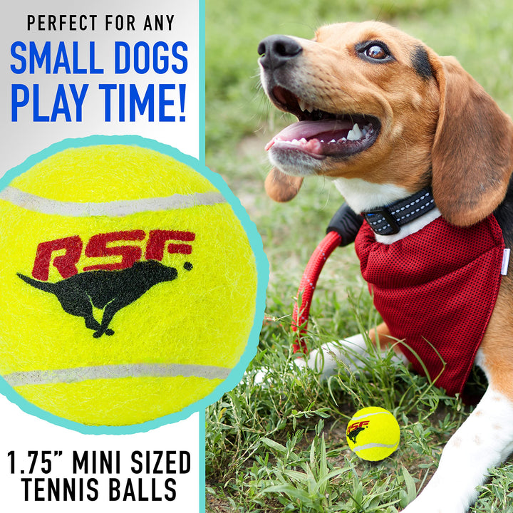 Franklin Pet Supply RSF Squeak Mini 1.75" Tennis Balls - Dog Toy Squeaks When Squeezed - (Pack of 12) - for Small Dogs - Squeaker Noise 12 Pack - Mini Size