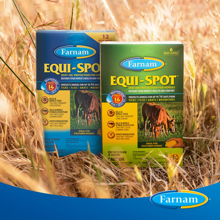 Farnam EQUI-SPOT Spot-on Protection for Horses 6 Week Supply 0.34 Fl Oz 0.34 Fl Oz (Pack of 1)