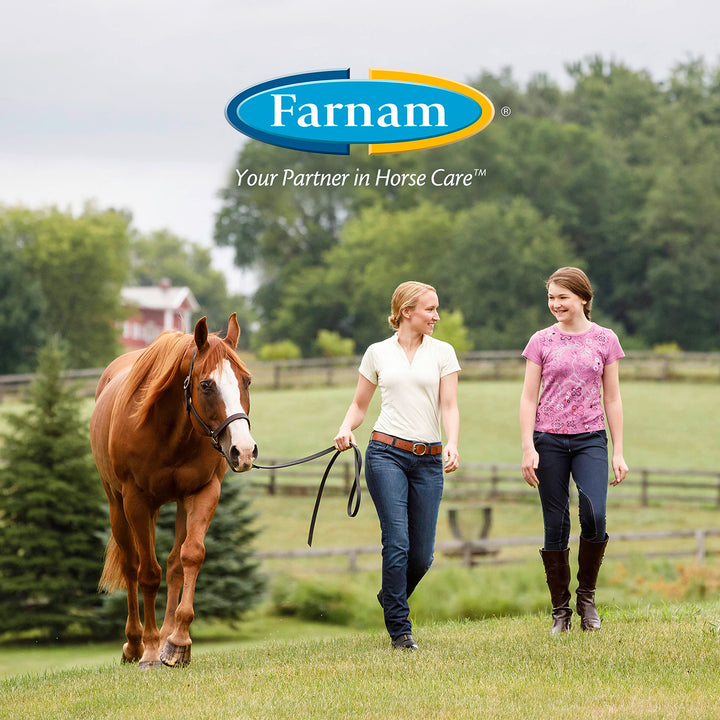 Farnam EQUI-SPOT Spot-on Protection for Horses 6 Week Supply 0.34 Fl Oz 0.34 Fl Oz (Pack of 1)