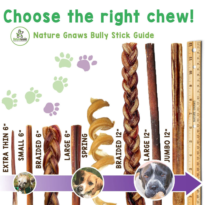 Nature Gnaws Thin Bully Sticks for Small Dogs - Premium Natural Tasty Beef Bones - Simple Long Lasting Dog Chew Treats - Rawhide Free 5-6 Inch 1 Pound (Pack of 1)