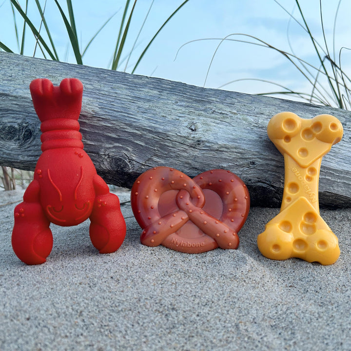 NYLABONE Power Chew Dog Toy Pack - Cute Dog Toys for Aggressive Chewers - with a Funny Twist! Tough Dog Toys - Durable Dog Toys - Lobster, Cheese, and Pretzel Shapes, Small/Regular (3 Count)