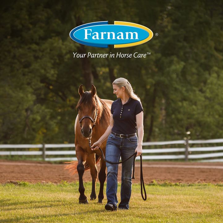 Farnam Endure Sweat-Resistant Horse Fly Spray, 14-Day Long Lasting Protection, 15 Ounces 15 oz continuous spray