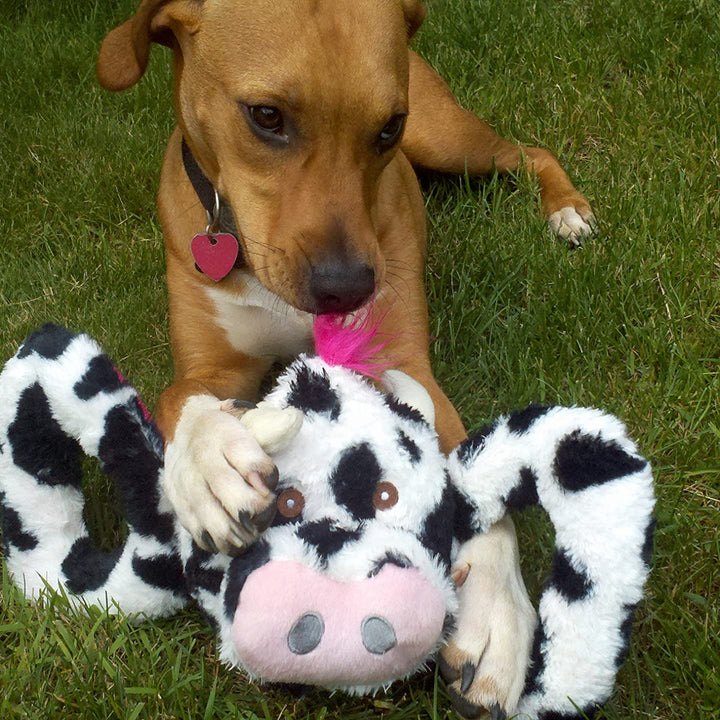 Jolly Pets Jolly Tug-a-Mal Cow Tug/Squeak Toy, Large X-Large