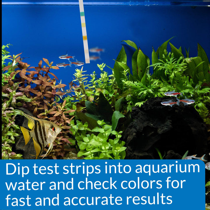 API 5-IN-1 TEST STRIPS Freshwater and Saltwater Aquarium Test Strips 100-Count Box