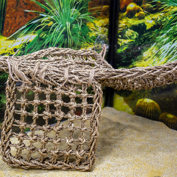 Penn-Plax Reptology Lizard Lounger Corner Triangle with Ladder– 100% Natural Seagrass Fiber – Great for Bearded Dragons, Anoles, Geckos, and Other Reptiles – Large