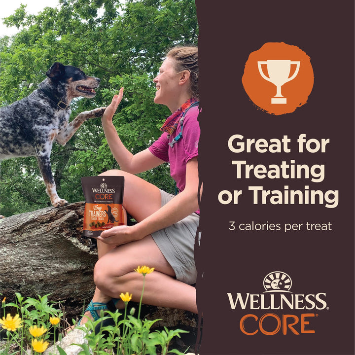 Wellness CORE Soft Tiny Trainers (Previously Petite Treats), Natural Grain-Free Dog Treats for Training, Made with Real Meat, No Artificial Flavors (Turkey & Pomegranate, 6 Ounce Bag) Turkey 6 Ounce (Pack of 1)