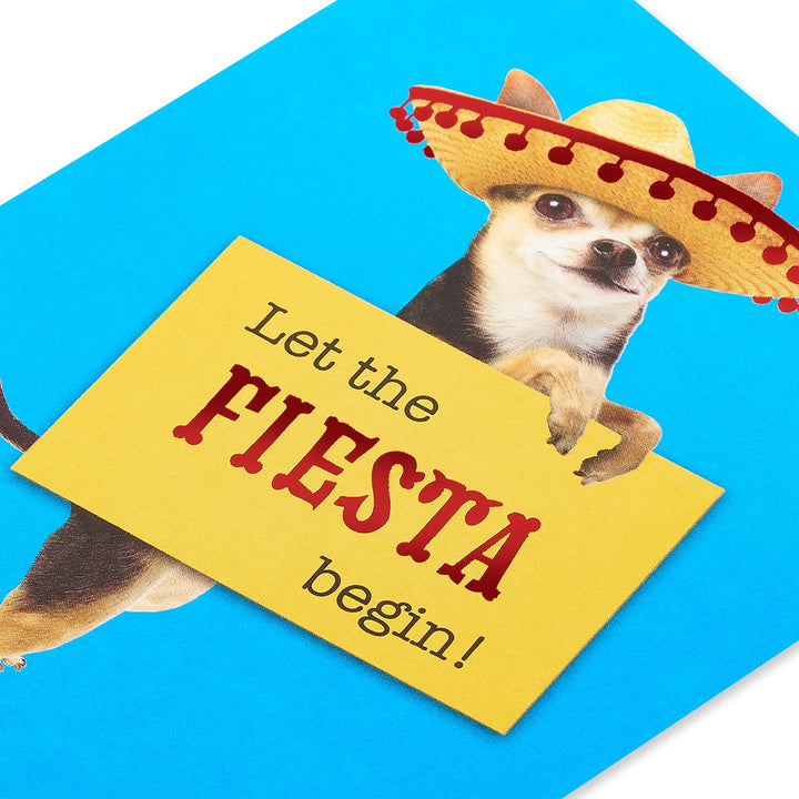 American Greetings Birthday Card (Fiesta) Fiesta