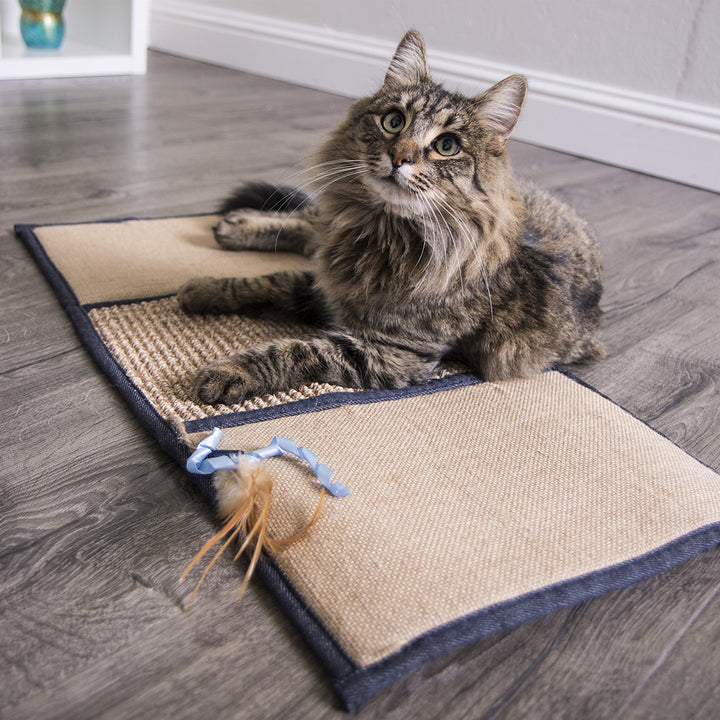 Petlinks Scratch & Play Carpet & Burlap Cat Scratch Mat - Brown, One Size Scratch & Play Mat