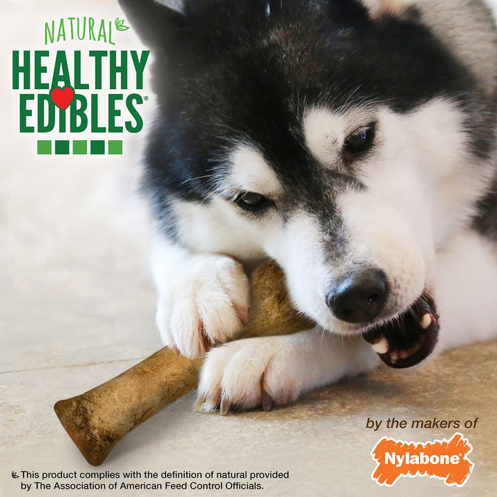 Nylabone Healthy Edibles Natural Dog Chews Long Lasting Roast Beef Flavor Treats for Dogs, X-Large/Souper (1 Count) 1 Count (Pack of 1)