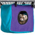 MidWest Homes for Pets Ferret Nation Cozy Cube for Ferret Nation & Critter Nation Small Animal Cages | Measures 8.5L x 8.5W x 9H - Inches 8.5"L x 8.5"W x 9.0"H Purple/Teal