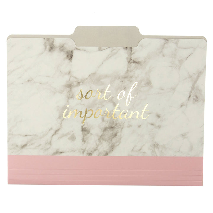 Graphique Blush Marble File Folder Set – File Set Includes 9 Folders and 3 Unique "Important" Designs, Embellished w/ Gold Foil on Durable Triple-Scored Coated Cardstock, 11.75" x 9.5"