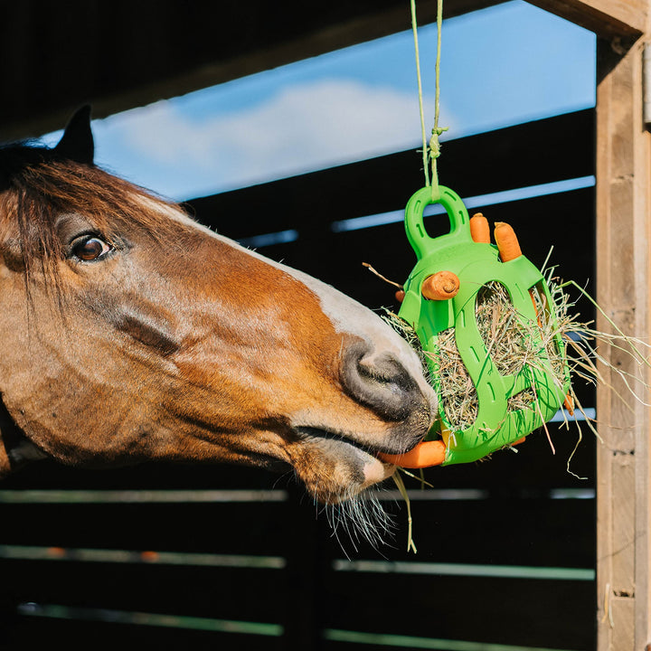 Horsemen's Pride Jolly Hay Ball Stall Toy for Horses, Blue, 8"