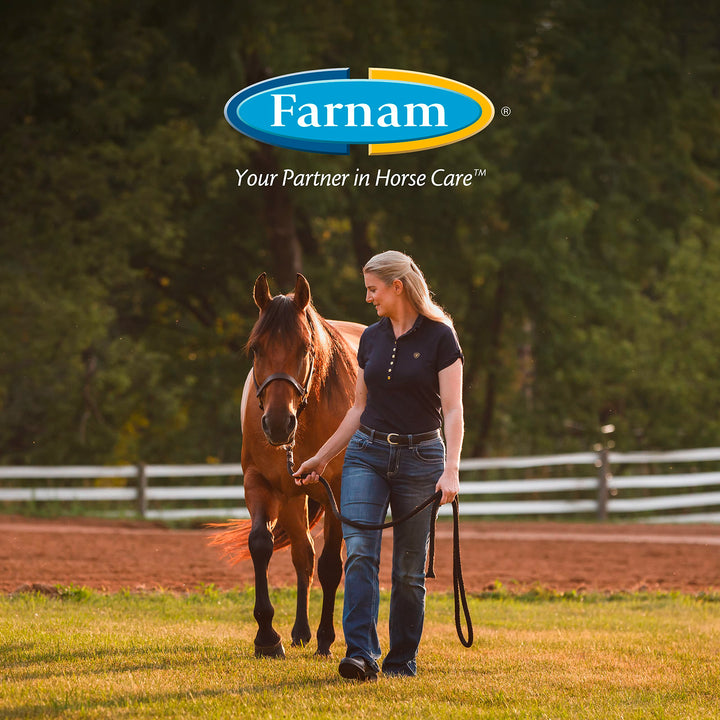 Farnam SuperMask II Fly Mask Without Ears for Foals, Full Face Coverage and Eye Protection from Insect Pests, Structured Classic Styling Mesh with Plush Trim, Foal Size