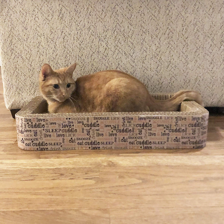 PetRageous 13081 Rectangular Corrugated Cat Lounge Scratcher 20-Inch Long 12-Inch Wide 3.5-Inch Tall with Cat Nip is Great for Cats, Multicolored
