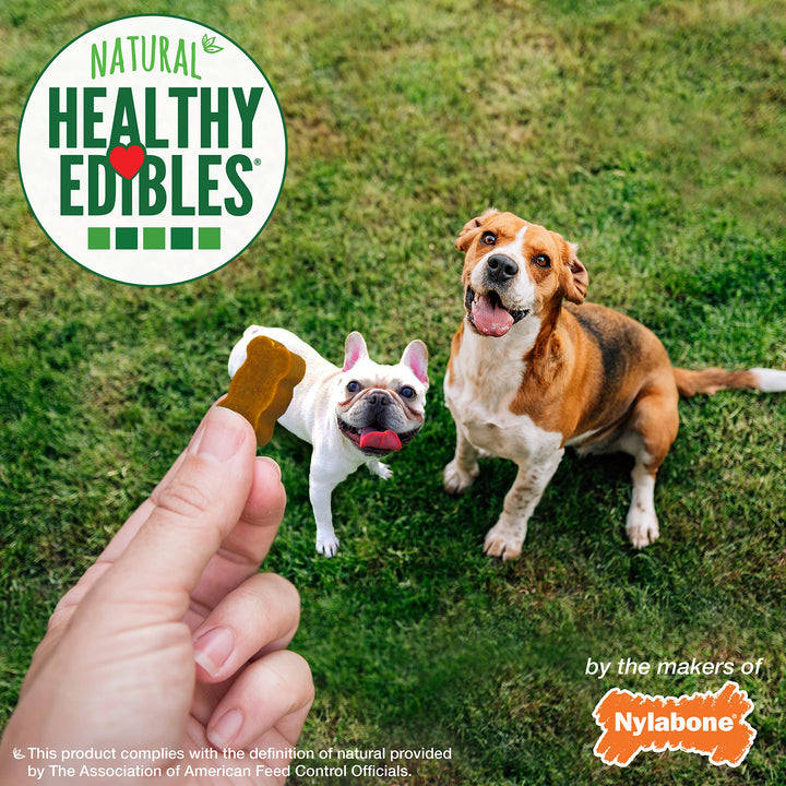 Nylabone Healthy Edibles Natural Chewy Bites Soft Dog Chew Treats Chicken 12 oz. 12 Ounce (Pack of 1)