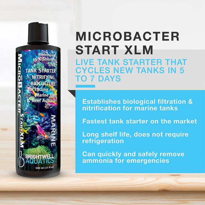 Brightwell Aquatics MicroBacter Start XLM – Live Bacteria Tank Starter Rapidly Establishes Biological Filtration in New Marine & Reef Aquariums, 250-ML