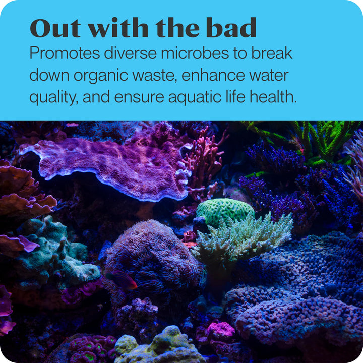 Brightwell Aquatics MicroBacter7 - Bacteria & Water Conditioner for Fish Tank or Aquarium, Populates Biological Filter Media for Saltwater and Freshwater Fish 250ml