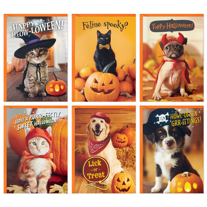 Hallmark Halloween Cards Assortment, Pet Puns (48 Cards with Envelopes) Halloween Punny Pets Card Assortment