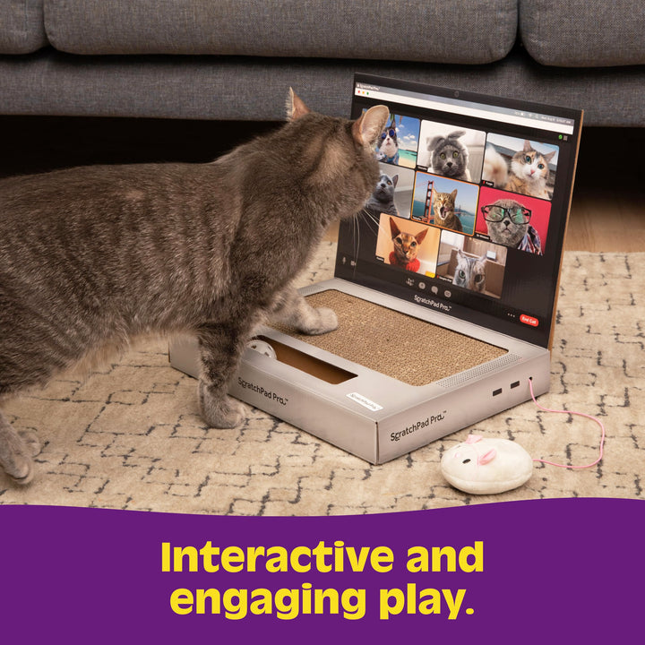 ScratchPad Pro - Laptop Scratcher Cat Toy - Unique Cat Toy 3-in-1 with Stickers
