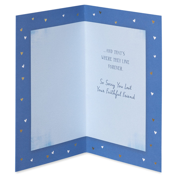 American Greetings Pet Sympathy Card (Dogs Live Forever In Your Heart)