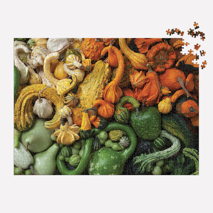 Galison Gourds 1000 Piece Puzzle from Galison - 27" x 20" Puzzle, Beautiful Art by Julie Seabrook Ream, Thick and Sturdy Pieces, Fun and Challenging Activity for Adults, Makes a Great Gift!