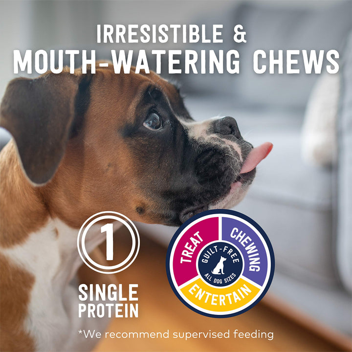 ZIWI Dog Chews andTreats – All Natural, Air-Dried, Single Protein, Grain-free, High-Value Treat, Snack, Reward (Lamb Trachea) 2.1 Ounce (Pack of 1) Lamb Trachea