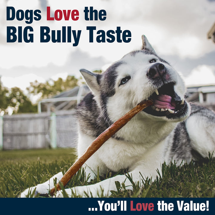 Cadet Bully Hide Sticks for Dogs - All-Natural Bully Stick & Beef Hide Dog Chews - Long Lasting Bully Sticks Alternative Made with 2 Ingredients - Dog Chews for Aggressive Chewers, Large (7 Count) 7 Count