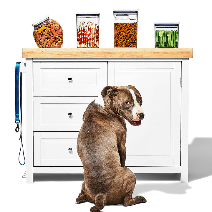 OXO Good Grips Pet POP Container – 2.8 Qt/2.6 L |Ideal for up to 3lbs of Dog Food or 2lbs of Cat Food | Airtight Storage Container | BPA Free Pet POP 2.8 Qt