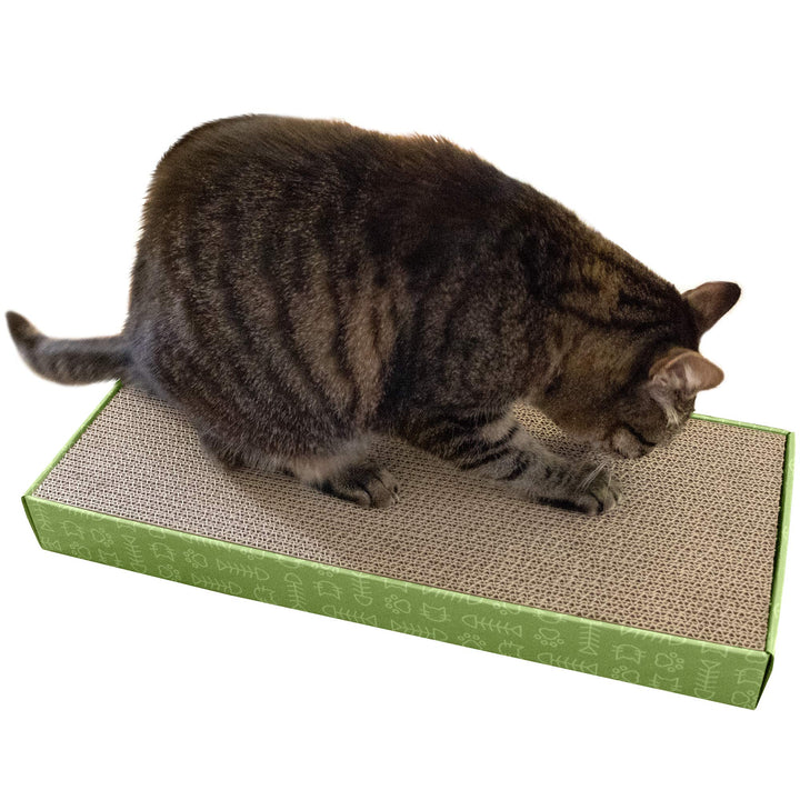 Furhaven Scratching Board w/ Catnip for Indoor Cats, Reversible - Classic Corrugated Cat Scratcher Pad - Green, Standard