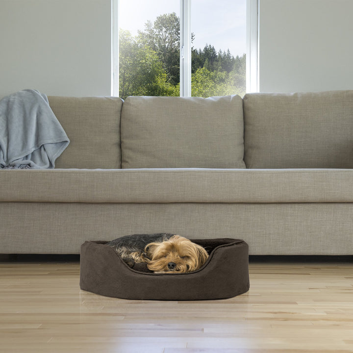 Furhaven Dog Bed for Medium/Small Dogs w/ Removable Washable Cover & Reversible Pillow Cushion Insert, For Dogs Up to 18 lbs - Terry & Suede Oval Lounger - Espresso, Medium