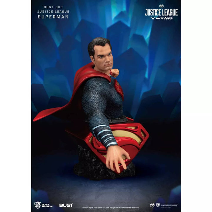 Warner Bros Justice League Series-Superman (Bust)