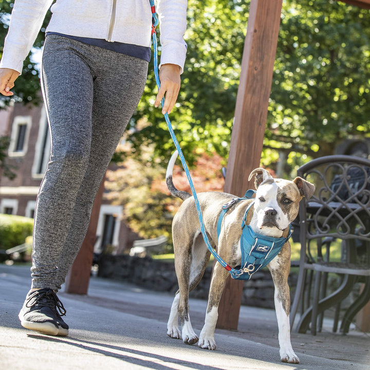 Kurgo Dog Harness | Pet Walking Harness | No Pull Harness Front Clip Feature for Training Included | Car Seat Belt | Tru-Fit Quick Release Style | Small | Blue
