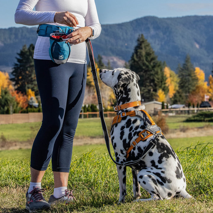 Kurgo Go Stuff It Dog Treat Bag, Training Treat Pouch Bag for Dogs, Treat Pouches for Pets, Hands-Free Pouch Waist, Reflective, Includes Carabiner, MOLLE-Compatible (Navy Blue) MOLLE Straps, New Carabiner Navy blue