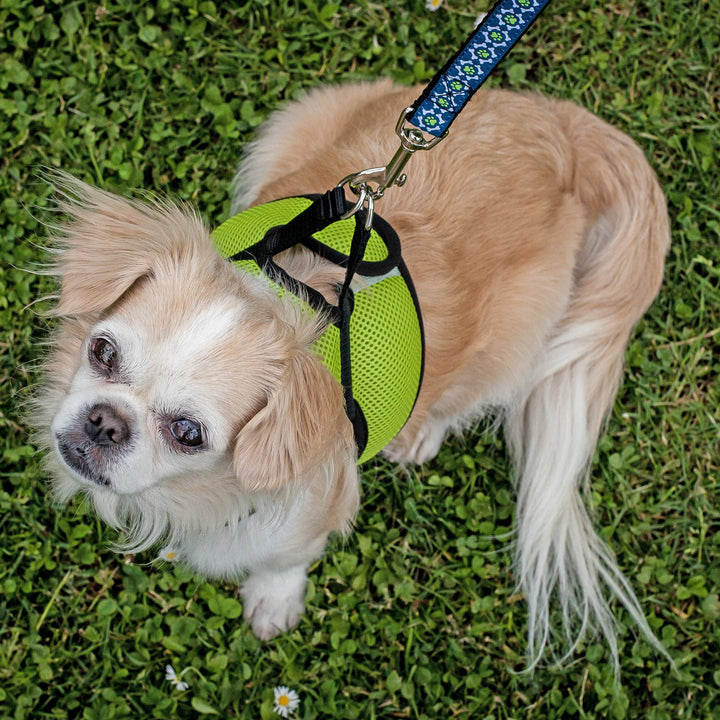 RC Pet Products Step in Cirque Soft Walking Dog Harness, Small, Black