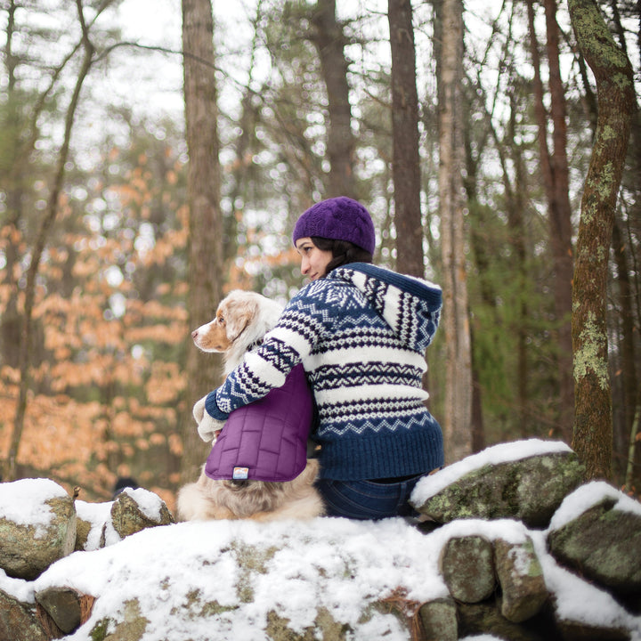 Kurgo Loft Dog Jacket, Reversible Dog Coat, Wear with Harness or Sweater, Water Resistant, Reflective, Winter Coat For Small Dogs (Deep Violet, S) Deep Violet/Charcoal